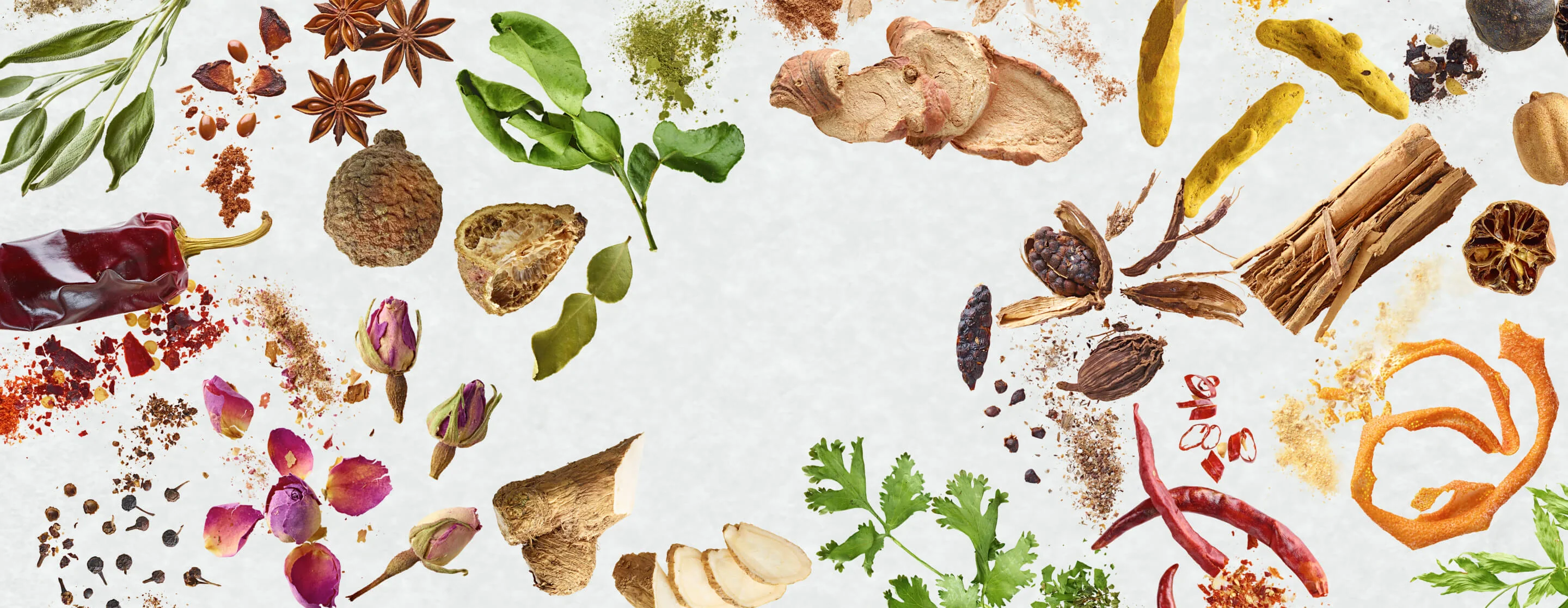 Elevate Your Culinary Imagination