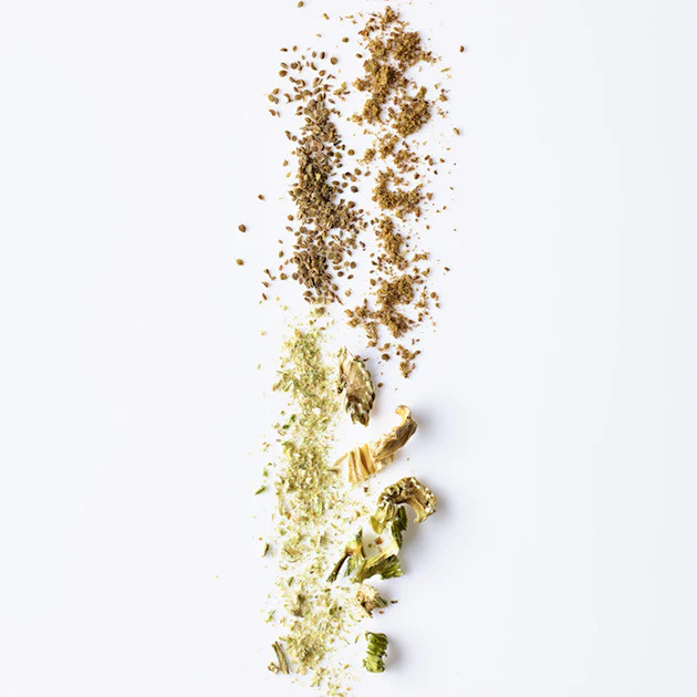 Celery Seed - Image 3