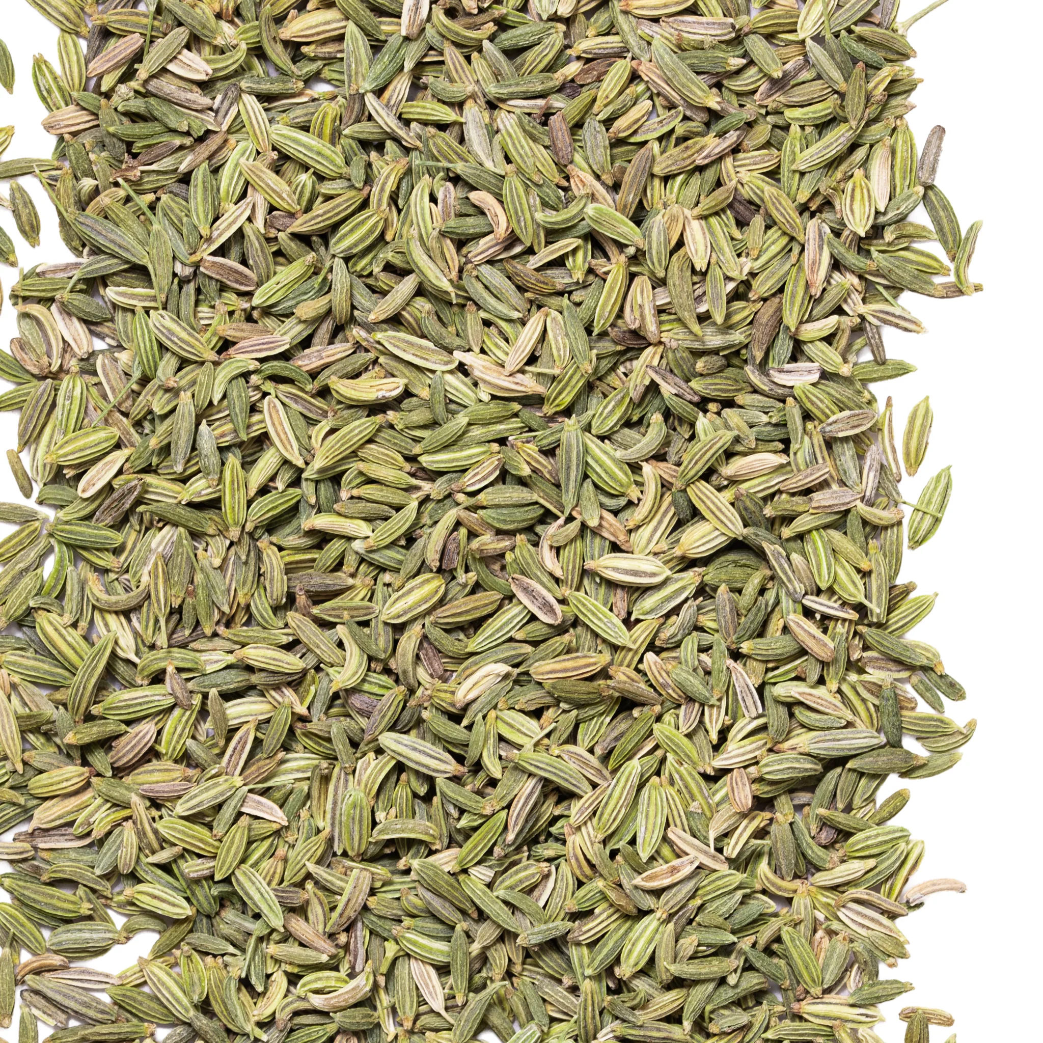 Fennel Seed - Image 2