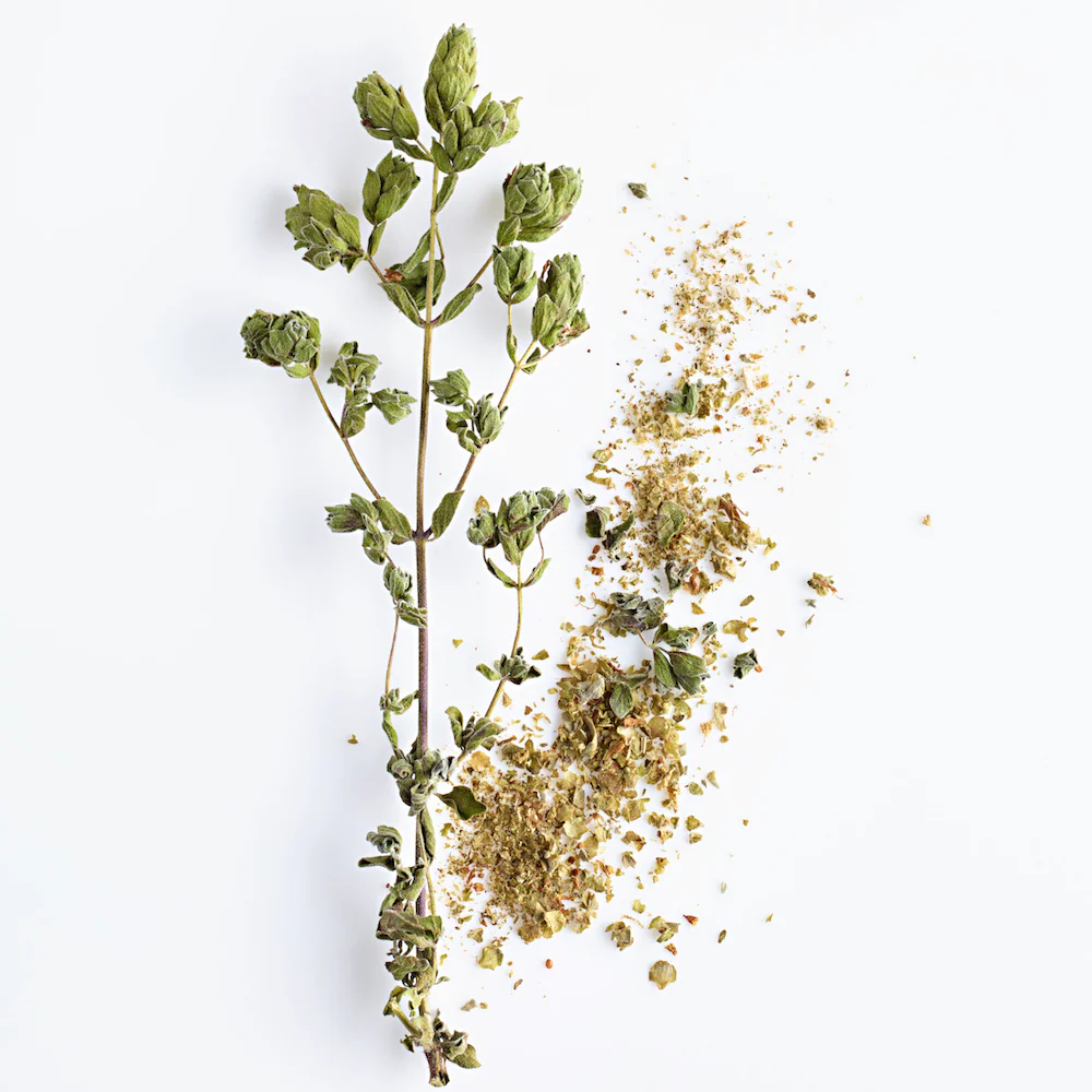 Marjoram - Image 3