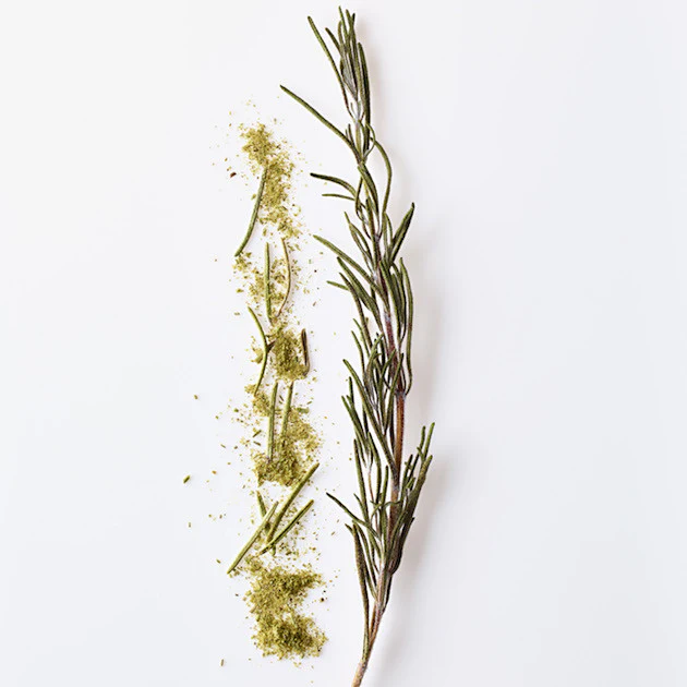 Rosemary - Image 3