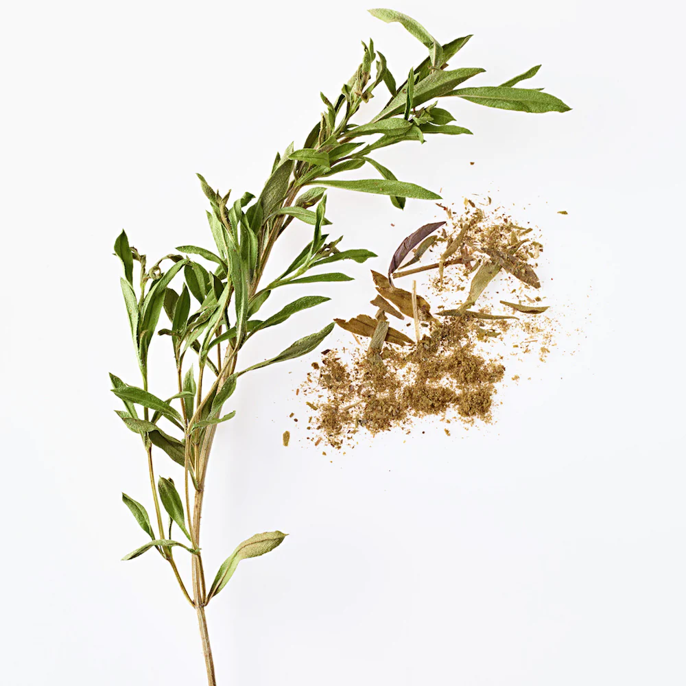 Savory - Image 3