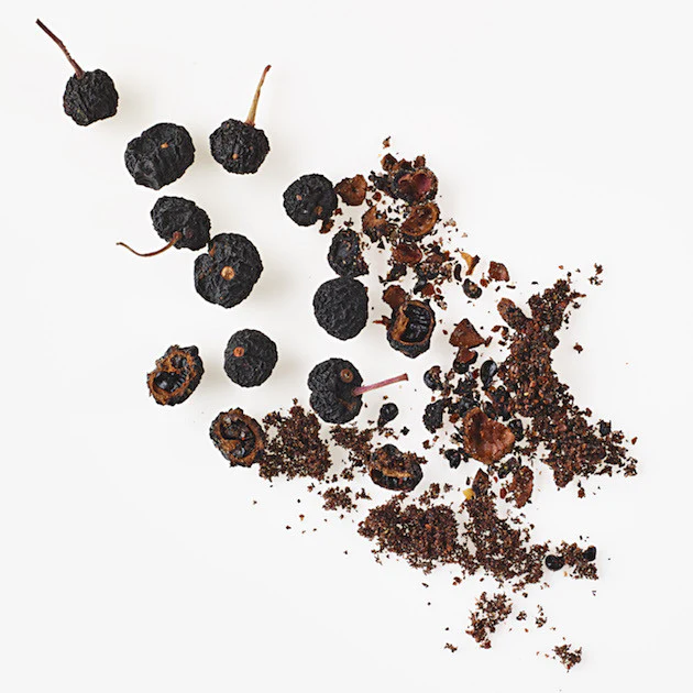 Tasmanian Pepper - Image 3